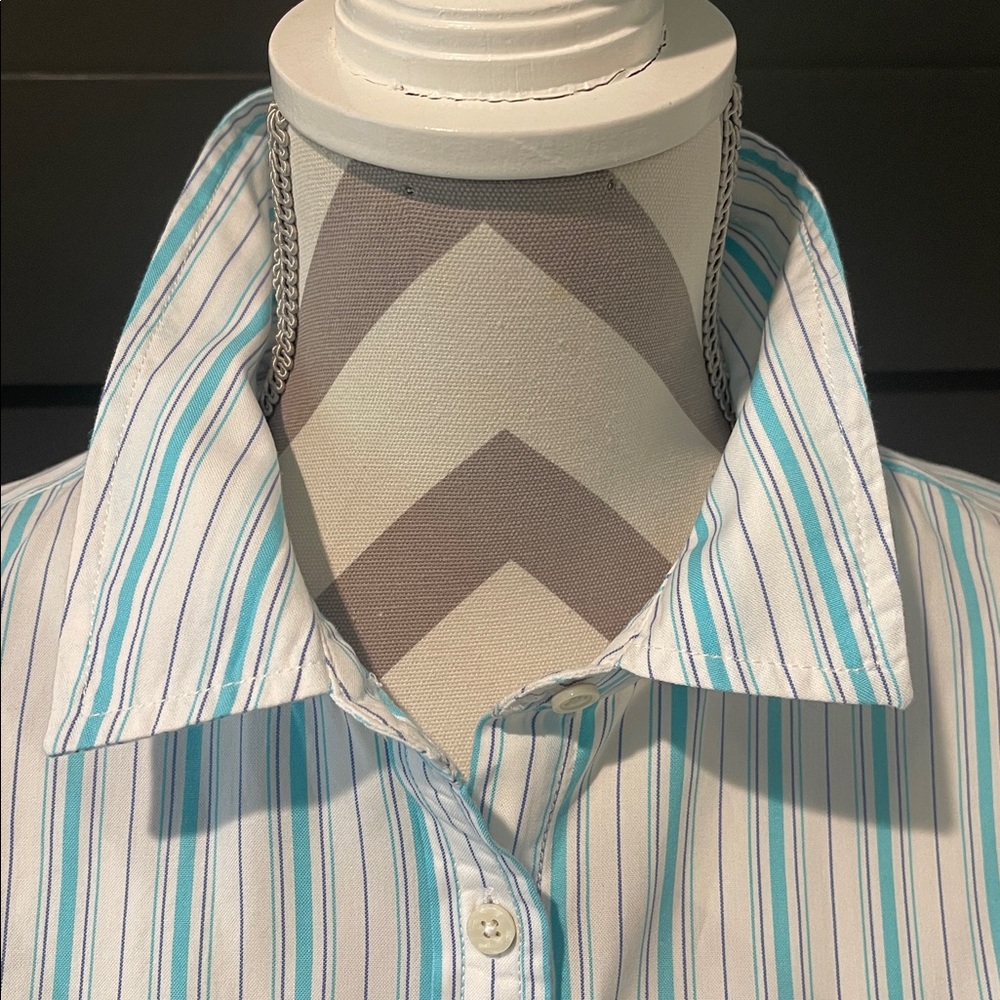 Tommy Hilfiger Preppy Striped Cotton Button Down Shirt Size L - Picture 4 of 7